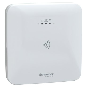 B1GTEWY_IoP-Default_369