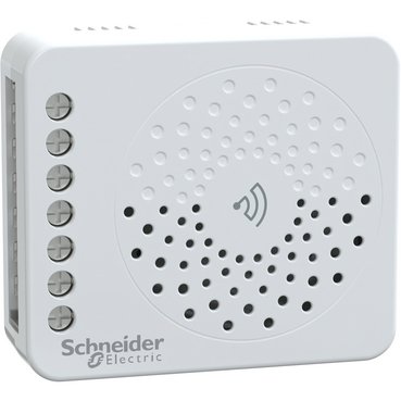 CR2CHRLYPG_IoP-Default_369