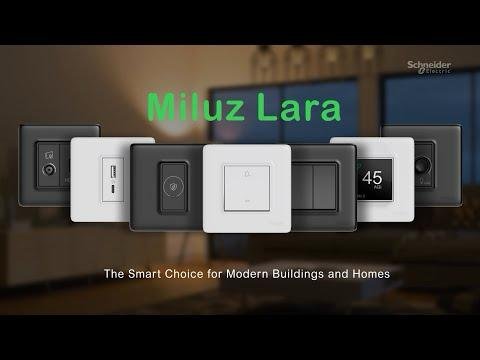 WhatsApp Image 2026-02-19 at 5.25.51 PM